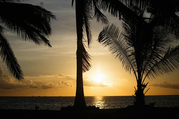 Réservez Votre Circuit Touristique en Ligne sans Effort : Un Guide Complet en Étapes Simples